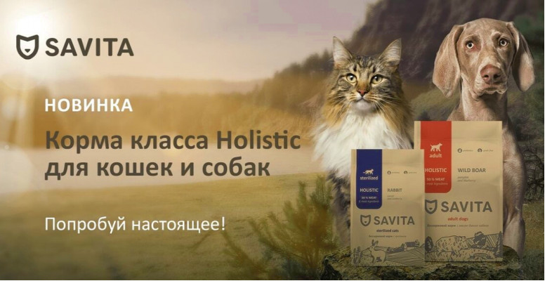 https://zoodroog.site/