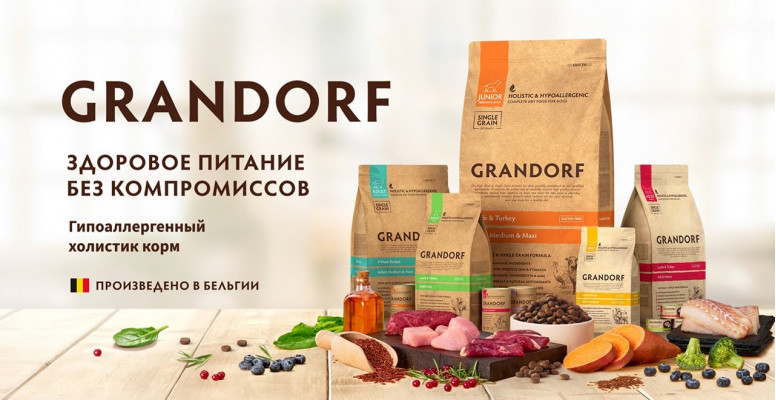 https://zoodroog.site/